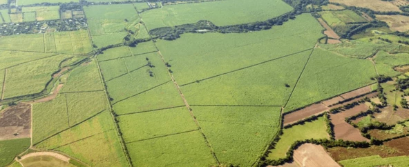 Green farmland from the air.